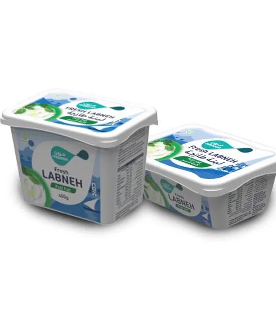 YOGHURT AND FLAVOURED LABAN