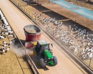 Investments in ‘Nitaj’ generate value worth OMR457 million